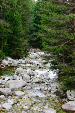 mountain river stones