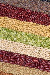 Fototapeta na wymiar Multicolor dired legumes for diagonal background, Different dry bean for eating healthy