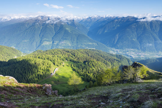 Europe, Italy, Trentino Alto Adige, Trento district, Non valley, Mountain Peller, natural Park Adamello Brenta.