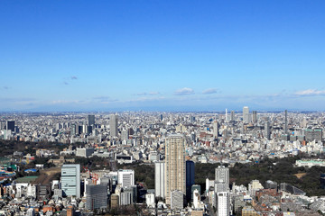 Obraz premium 東京 都市風景