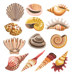 Shells or seashells vector isolated icons