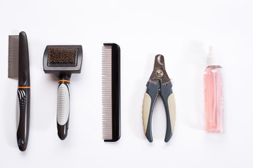 Acessories for the grooming of the dog. Combs and brushes for dogs. Top view
