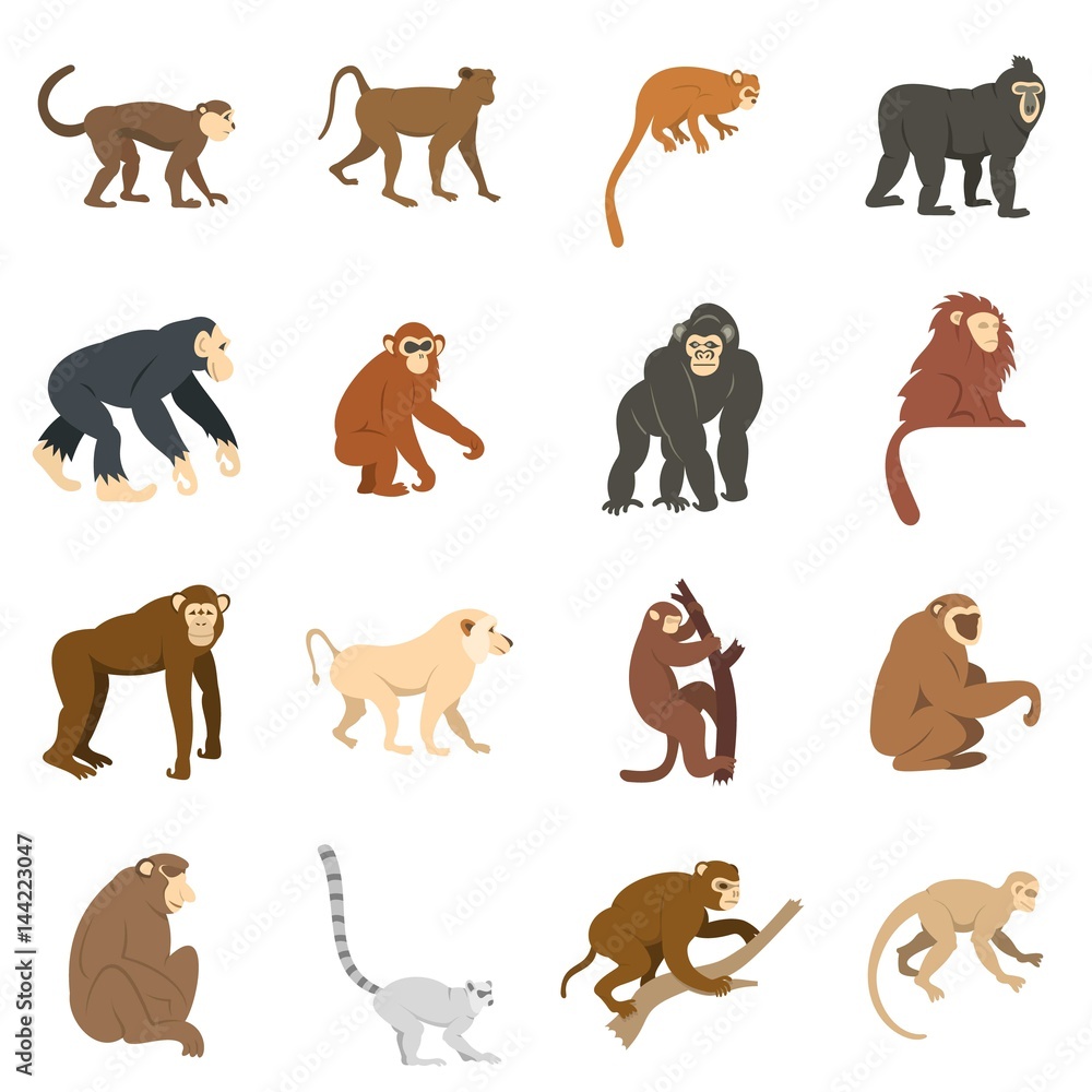 Poster monkey types icons set in flat style