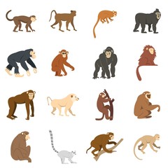 Monkey types icons set in flat style
