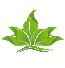 Beautiful green leafs logo