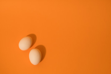 Egg on an Orange Background 