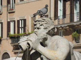 Rom Neptunbrunnen © hadoka68163