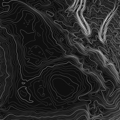Vector abstract earth relief map. Generated conceptual elevation map. Isolines of landscape surface elevation. Geographic map conceptual design. Elegant background for presentations.