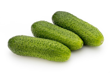 The first spring ecologically cucumbers.