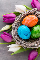 Spring greeting card. Easter eggs in the nest. Spring flowers tulips.
