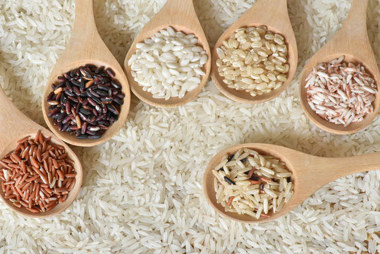 Top view different rice on wooden scoop with jasmine rice background, Collection of various rice organic on wooden spoon