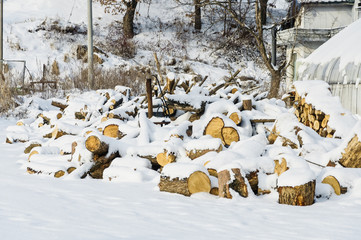 many log covered by a white snow