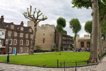 Fototapeta premium courtyard in the tower