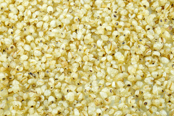 millet background.