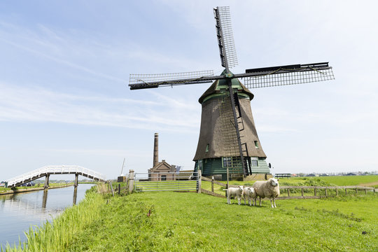 Dutch windmill on Farmland, Holland, Netherlands