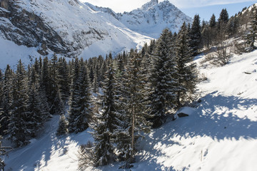 Panoramic view down an alpine mountain valley