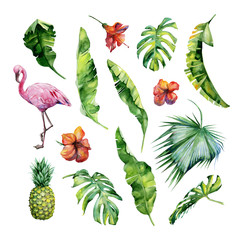 Watercolor illustration set of tropical leaves, dense jungle, flamingo bird and pineapple. Tropic summertime motif may be used as background texture, wrapping paper, textile,wallpaper design.