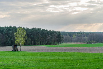 Hochstand unter einem Baum