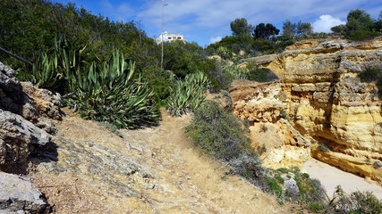 rocks of marinha beach