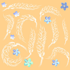 силуэты колосьев и голубые цветы на желтом фоне, векторная иллюстрация