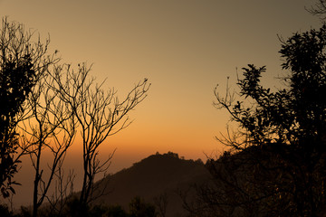 Silhouette of tree branches.