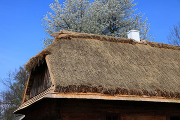 Piękny, stary zabytkowy dach kryty słomą. - obrazy, fototapety, plakaty