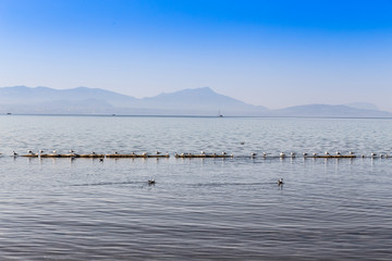 Lac Léman, Morges