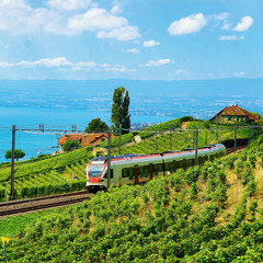 Naklejka premium Train at railroad at Lavaux Vineyard Terraces Lake Geneva Alps