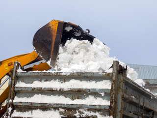 Loading snow into trucks for removal