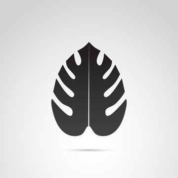 Exotic leaf vector icon.