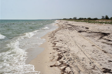 Coast of the sea, wild nature.