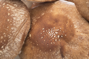 Shiitake Mushroom Close Up