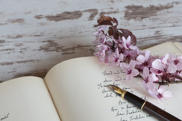 Blüten, Stift, Aufzeichnungen
