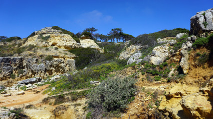 amazing algarve landscpae