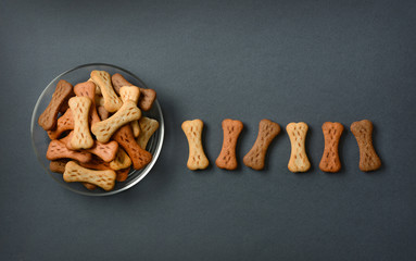 dog biscuits in the shape of bones