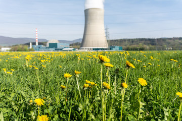 Blumen im Vordergrund von Kraftwerk für Energie  - obrazy, fototapety, plakaty