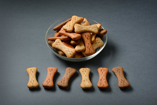 dog biscuits in the shape of bones