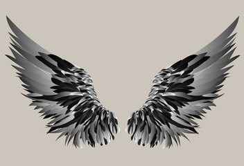 Wings. Vector illustration on white background. silhouette
