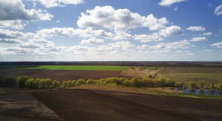 Fototapeta premium forests and fields. rural areas. Drone Point of View