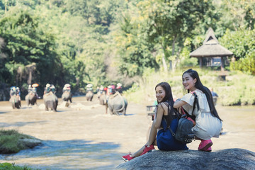 Elephants tour