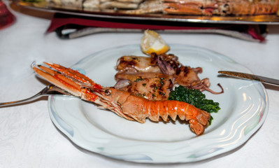 large Mediterranean prawn with mamuskami , green sauce and lemon on a white plate
