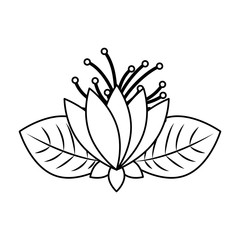 cute flower decorative icon vector illustration design