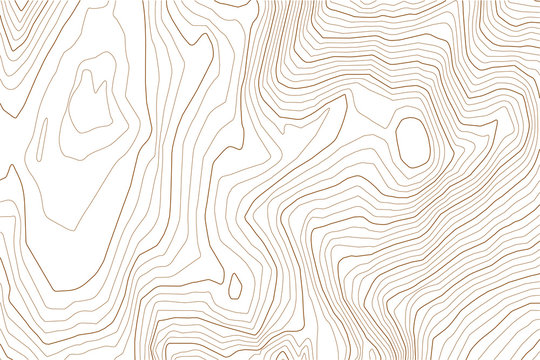 Abstract topographic map. Vintage vector background.