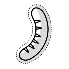 delicious sausage isolated icon vector illustration design