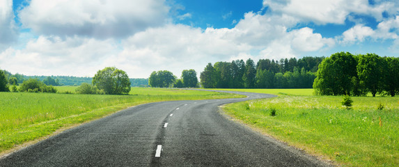 asphalt road panorama in countryside on sunny summer day © candy1812