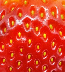 Strawberry texture. Macro shoot.