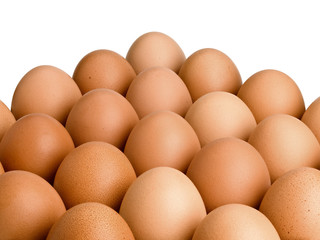 Hill from brown eggs