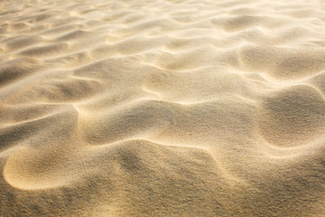 Fototapeta na wymiar sable en gros plan 