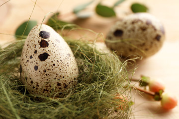 Obraz premium Easter egg in nest, closeup