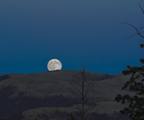 Full moon over Yellowstone